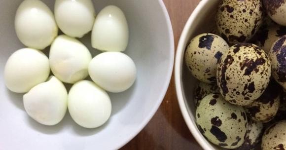 món ngon từ trứng chim cút, trứng chim cút sốt cà chua, món ngon 