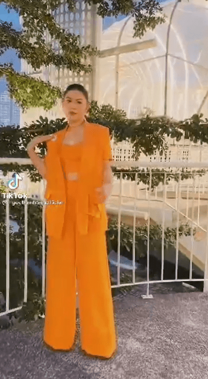 Ngọc Thanh Tâm, sao Việt, diễn viên Ngọc Thanh Tâm
