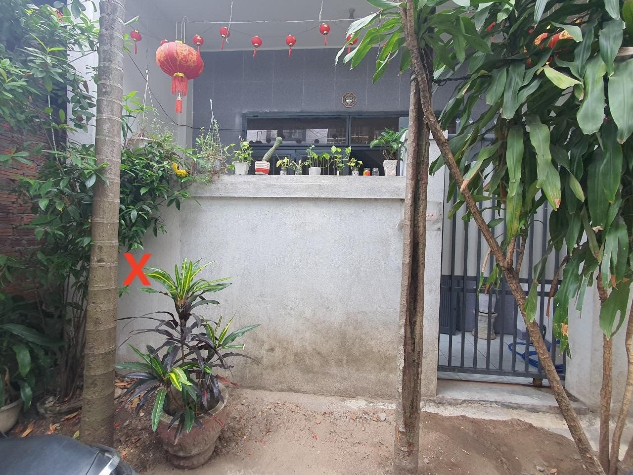 ong-thang-2.jpg