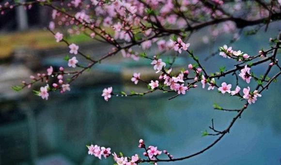 môi trường công sở, công sở, tuổi trung niên nơi công sở