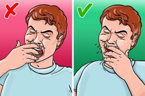 quy tắc xã giao, nguyên tắc cơ bản trên bàn ăn, phép lịch sự trên bàn ăn,  nguyên tắc trên bàn ăn