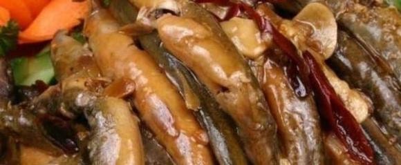 cá chạch, cách làm cá chạch, món ngon mỗi ngày