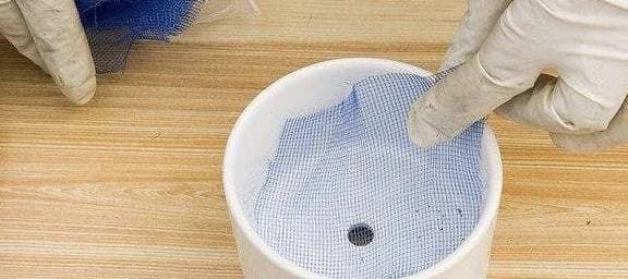 trồng cây, mẹo hay để trồng cây, mẹo hay khi trồng cây