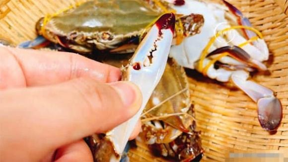 con ghẹ, cách chọn ghẹ ngon, mẹo chọn ghẹ ngon