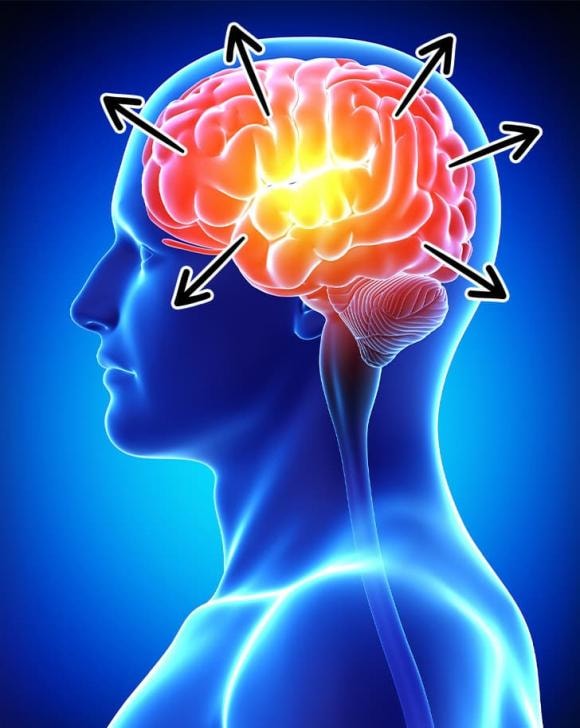 cơ thể, điều chưa biết về cơ thể, kiến thức