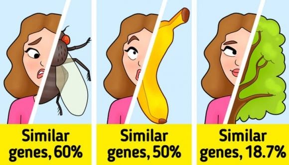 cơ thể, điều chưa biết về cơ thể, kiến thức