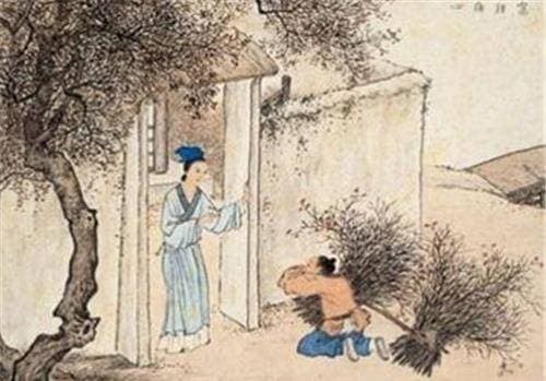 quy luật tự nhiên, quy luật, quy luật trong cuộc sống
