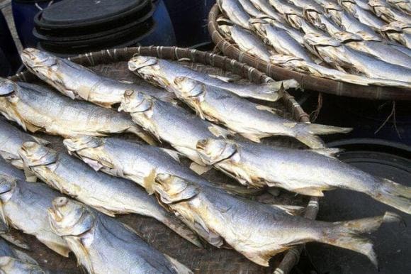 thịt đông lạnh, thời hạn thực phẩm để đông lạnh, thực phẩm bẩn