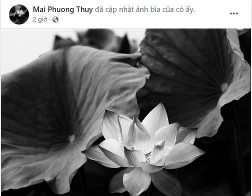 Tin sao việt, tin sao việt mới nhất, tin sao việt hot nhất, tin sao việt tháng 8