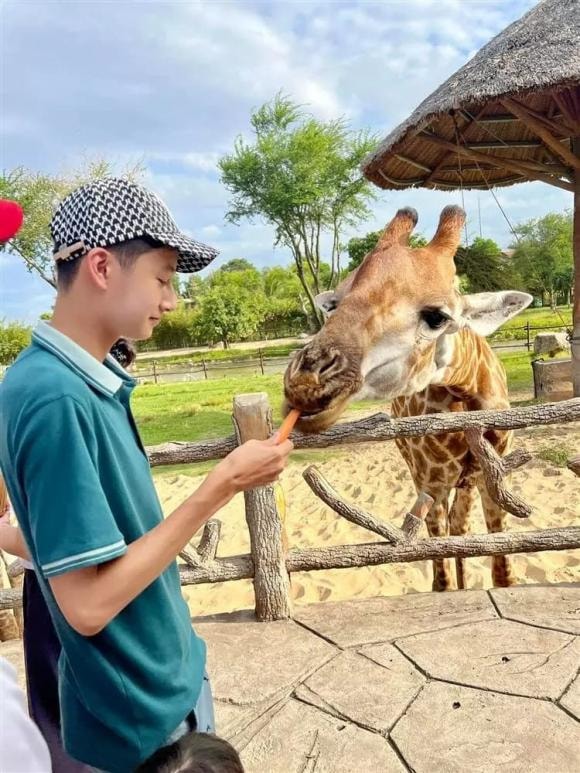 ca sĩ Quang Dũng, con trai Quang Dũng, sao Việt