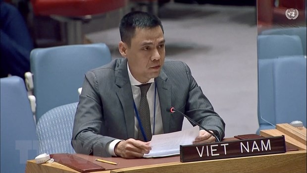 viet-nam-de-nghi-cac-nuoc-ho-tro-undp-thong-qua-cam-ket-tu-nguyen-thuong-nien.jpg