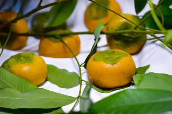 bánh trung thu, bánh trung thu hình quả hồng, cách làm bánh 