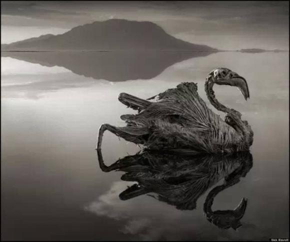  hồ Natron,  sông Styx, hồ hóa đá, hồ nước kì lạ
