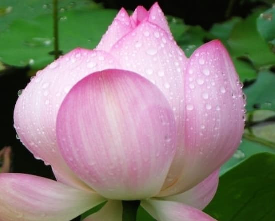 cuộc sống quanh ta, cuộc sống ý nghĩa, những điều ý nghĩa trong cuộc sống