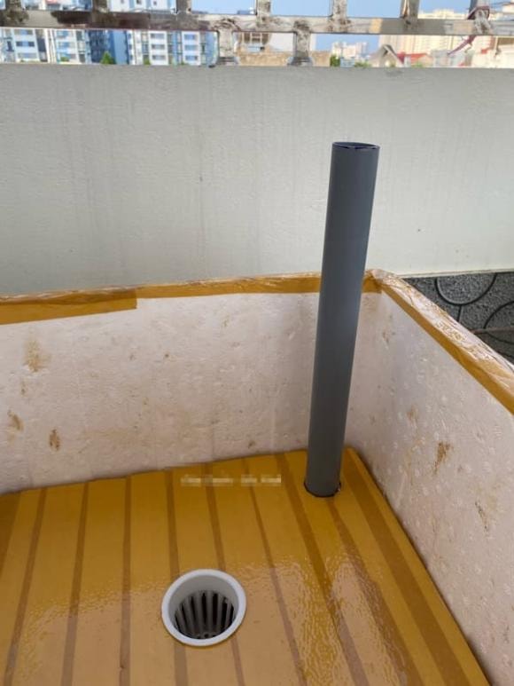 trồng cây, trồng cây bằng thùng xốp, kiến thức 