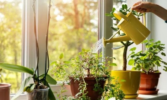nước thải từ điều hòa, nước chảy từ điều hòa, mẹo vặt, tiết kiệm nước