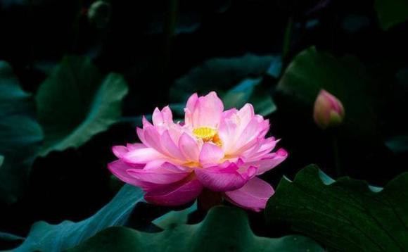 giờ sinh tốt, ngày sinh âm lịch, tử vi