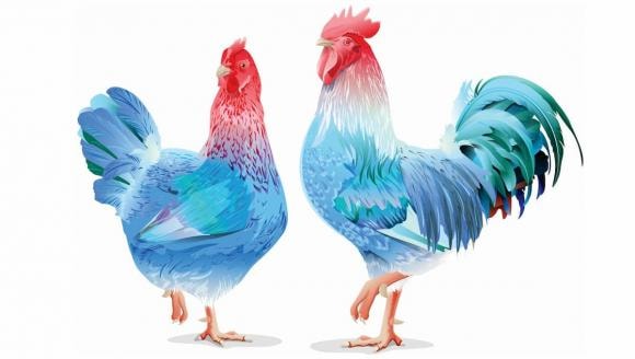 12 con giáp, tử vi 2022, tử vi hàng ngày