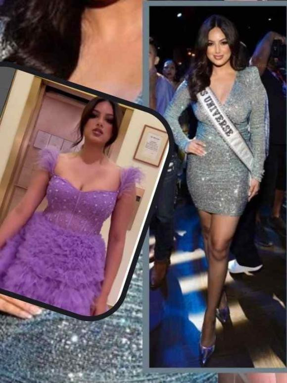 hoa hậu, Miss Universe 2021, Harnaaz Sandhu, Hoa hậu Hoàn vũ