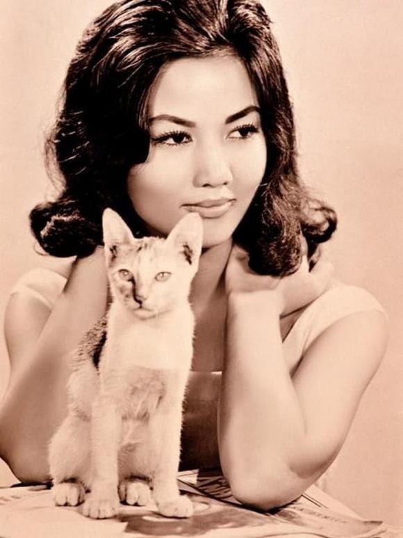 nghệ sĩ Thanh Nga, diễn viên Kiều Chinh, diễn viên Thẩm Thúy Hằng, NSƯT Kim Cương, sao Việt