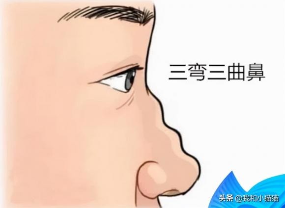 người xưa, cổ nhân, Nam sợ mày thưa, nữ sợ mũi cong, nhân tướng học