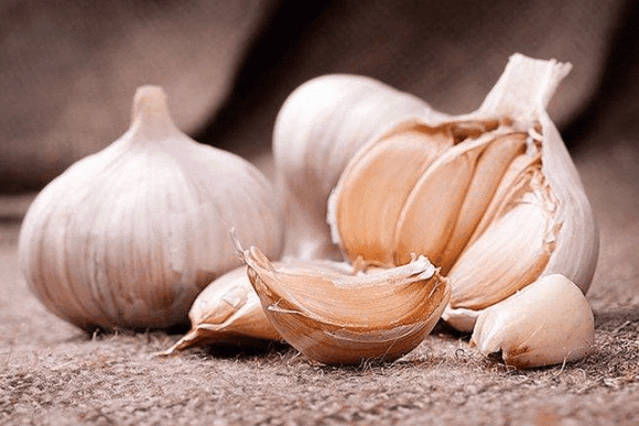 sức khỏe, người Đức sống lâu hơn thế giới, bí quyết khỏe mạnh của người Đức