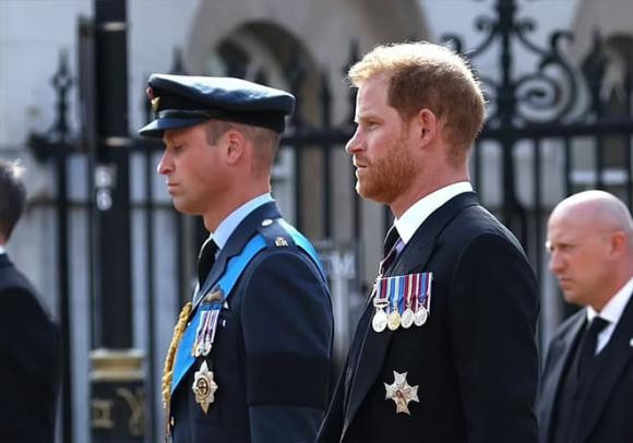 Harry, Công tước xứ Sussex được đặc cách mặc quân phục, sao Hollywood, Hoàng gia