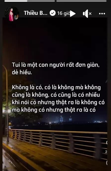 ca sĩ Thiều Bảo Trang, sao Việt