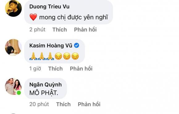 ca sĩ Quang Dũng, ca sĩ Hà Lan Phương, ca sĩ Đàm Vĩnh Hưng, sao Việt