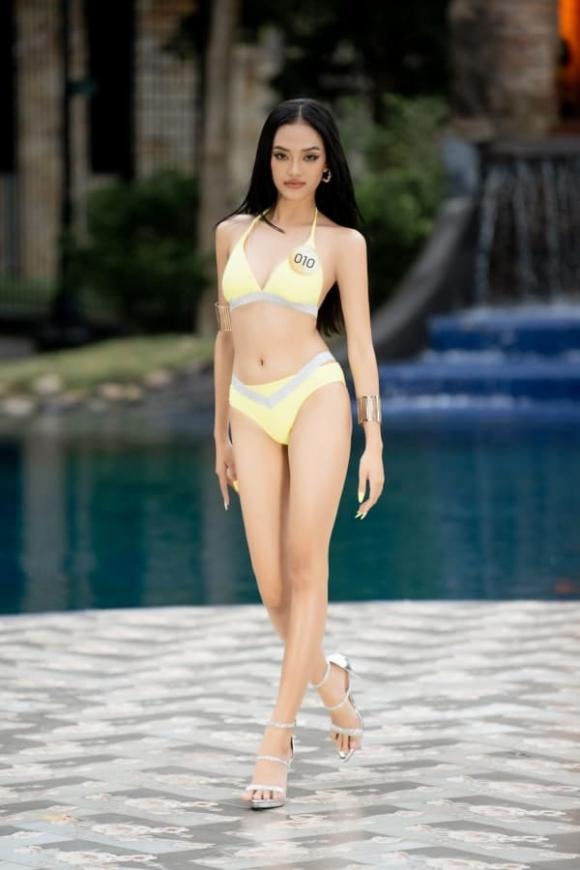 Miss Grand Vietnam 2022, Mai Ngô, sao Việt