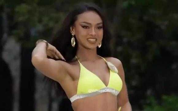 Miss Grand Vietnam 2022, Mai Ngô, sao Việt