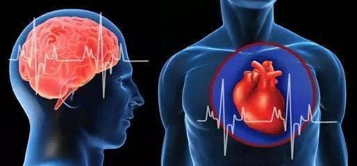 vòng mông, sức khỏe phụ nữ, mông to