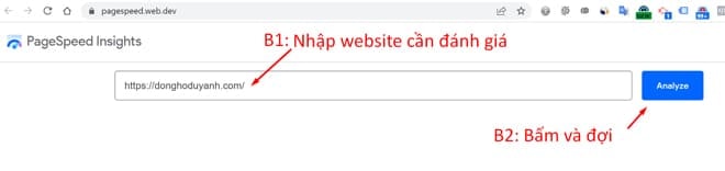 thiết kế website, website