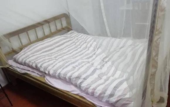 tang lễ, đám tang, phong tục đám ma, xá lợi