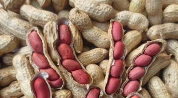 bệnh phụ khoa, viêm phụ khoa, chăm sóc sức khỏe