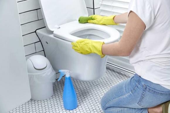 bồn cầu, vệ sinh bồn cầu, kiến thức