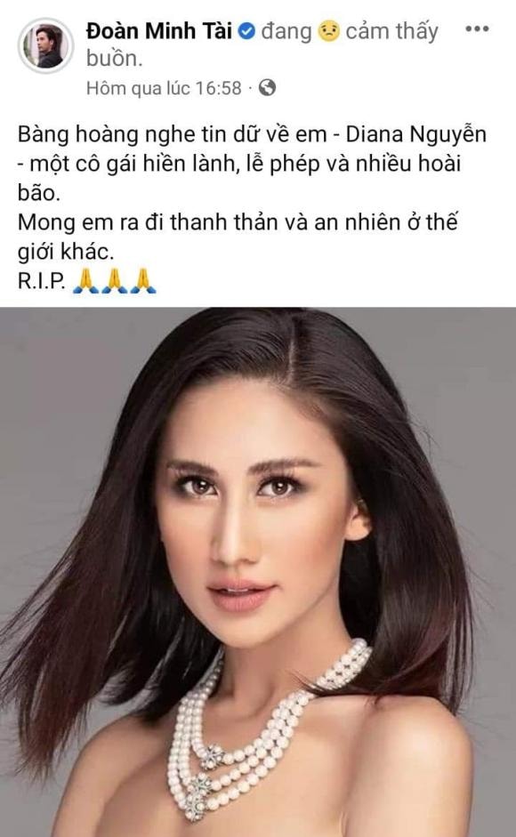 Thúy Vân, Sao Việt, Diana Nguyễn