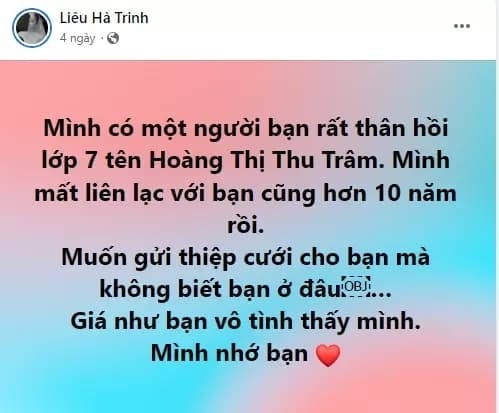 MC Liêu Hà Trinh, Liêu Hà Trinh, sao Việt