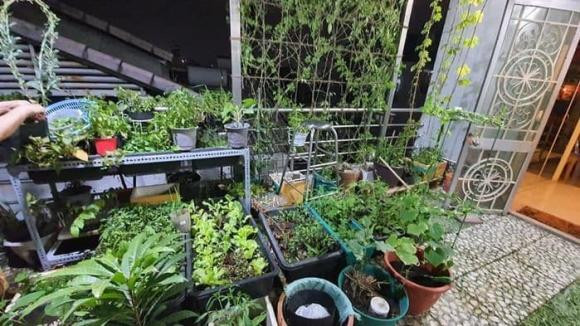 cẩm ly, sao việt, ca sĩ cẩm ly 