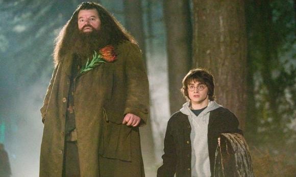 Harry Potter, sao qua đời, Robbie Coltrane