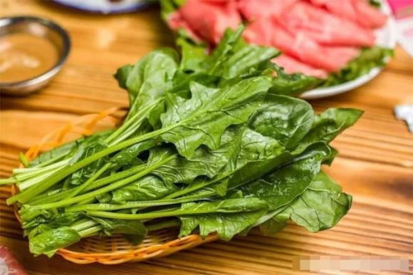 cải bó xôi, rau bina, rau chân vịt, cải bó xôi củ đỏ và cải bó xôi củ trắng