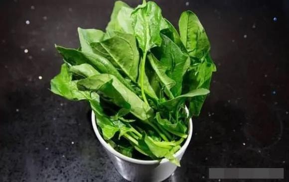 cải bó xôi, rau bina, rau chân vịt, cải bó xôi củ đỏ và cải bó xôi củ trắng