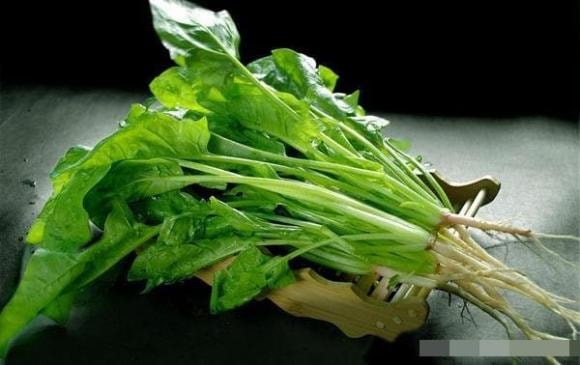 cải bó xôi, rau bina, rau chân vịt, cải bó xôi củ đỏ và cải bó xôi củ trắng