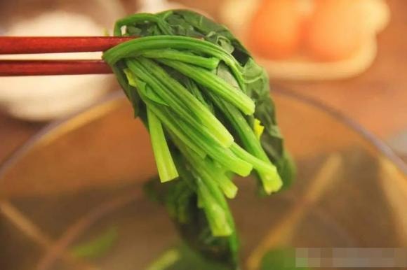 cải bó xôi, rau bina, rau chân vịt, cải bó xôi củ đỏ và cải bó xôi củ trắng