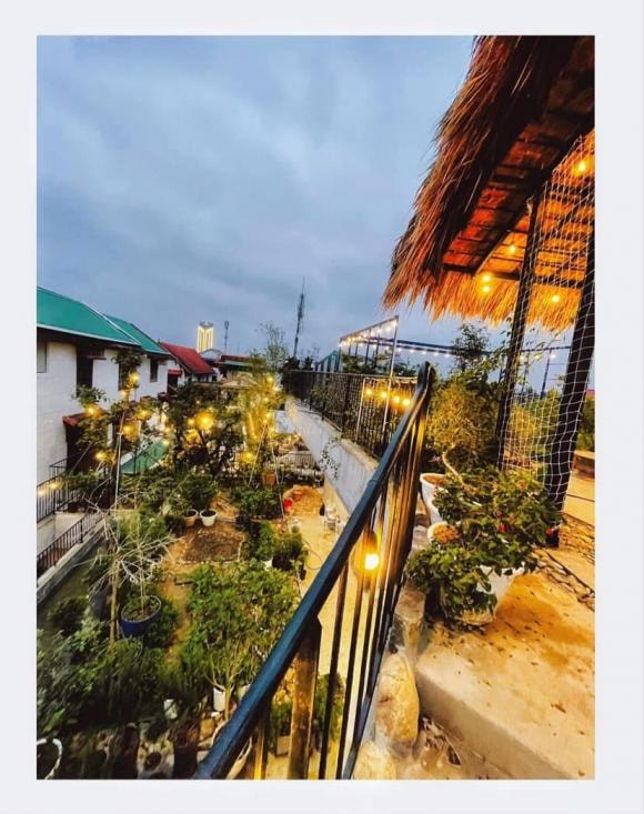 trồng cây trên sân thượng, cách trồng cây, nhà đẹp 