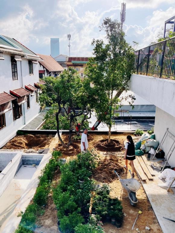trồng cây trên sân thượng, cách trồng cây, nhà đẹp 