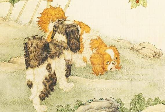 tử vi, con giáp, tử vi ngày 20/10
