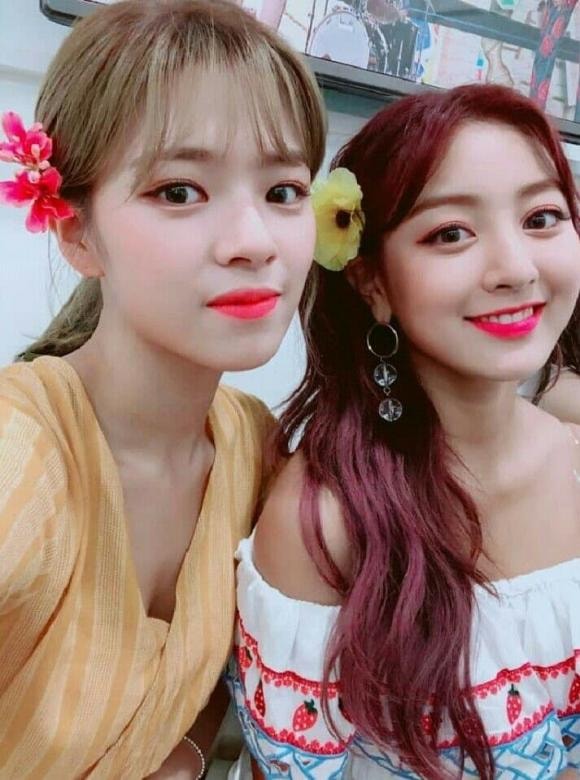 IU, người hâm mộ của IU, sao Hàn 