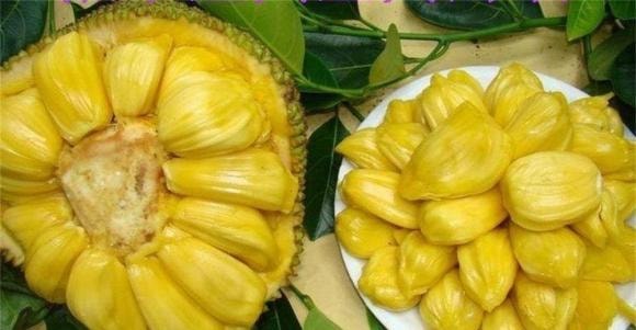 hạt mít, mật ong, mít mật ong