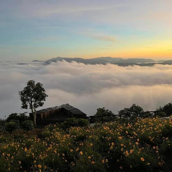 săn mây, săn mây ở Đà Lạt, săn mây ở Tà Xùa,